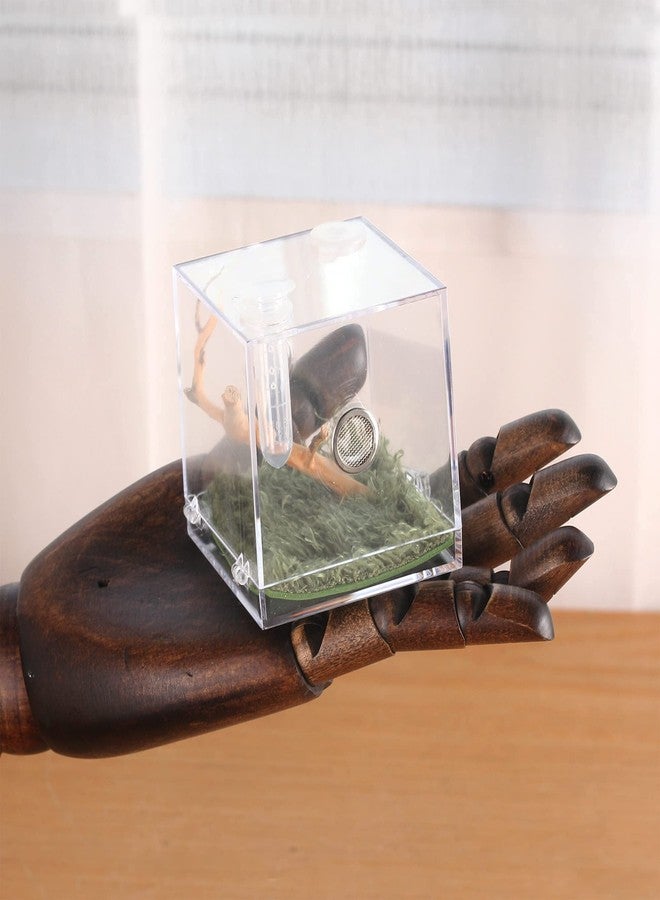 crapelles Jumping Spider Micro Big Habitat, Small Pet Insect Breeding Box, 360 Degree High Transparent Reptile Cage, Acrylic Case Mini Carrier for Amphibians, Feeding Container Enclosure Accessories - Image 5